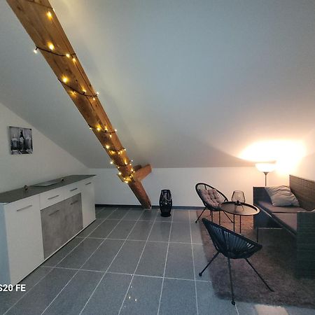 Penthouse N74 Linz 120 Qm Kids Welcome! 外观 照片
