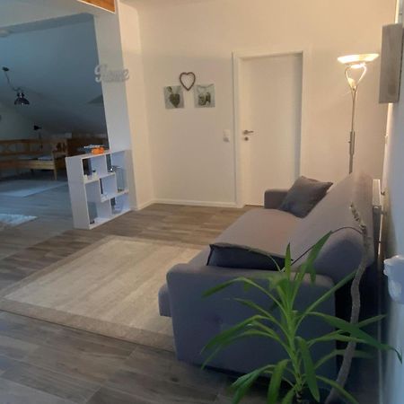 Penthouse N74 Linz 120 Qm Kids Welcome! 外观 照片