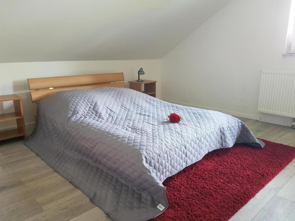 Penthouse N74 Linz 120 Qm Kids Welcome! 外观 照片