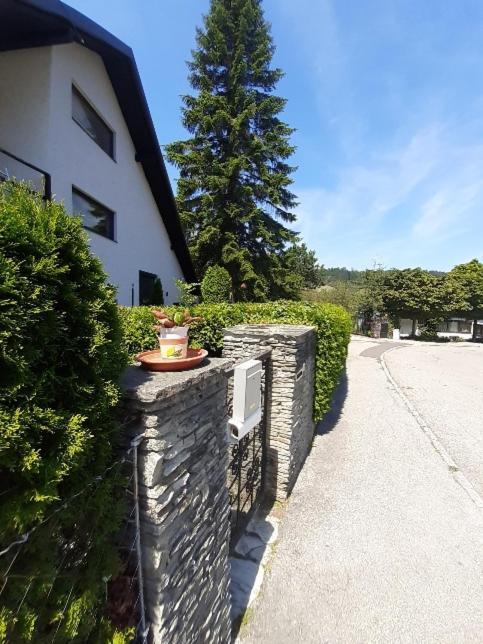 Penthouse N74 Linz 120 Qm Kids Welcome! 外观 照片
