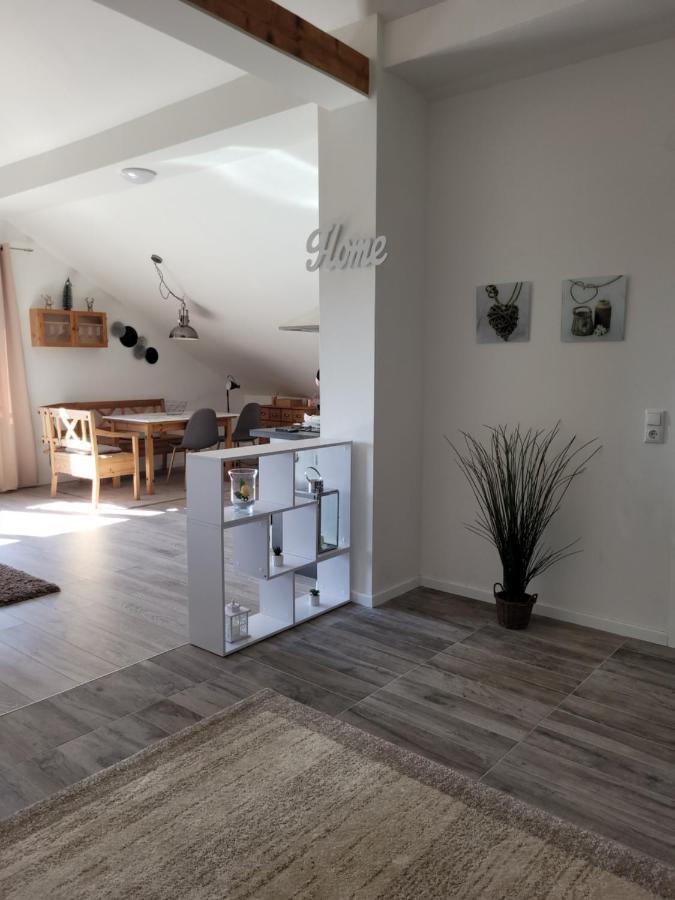 Penthouse N74 Linz 120 Qm Kids Welcome! 外观 照片